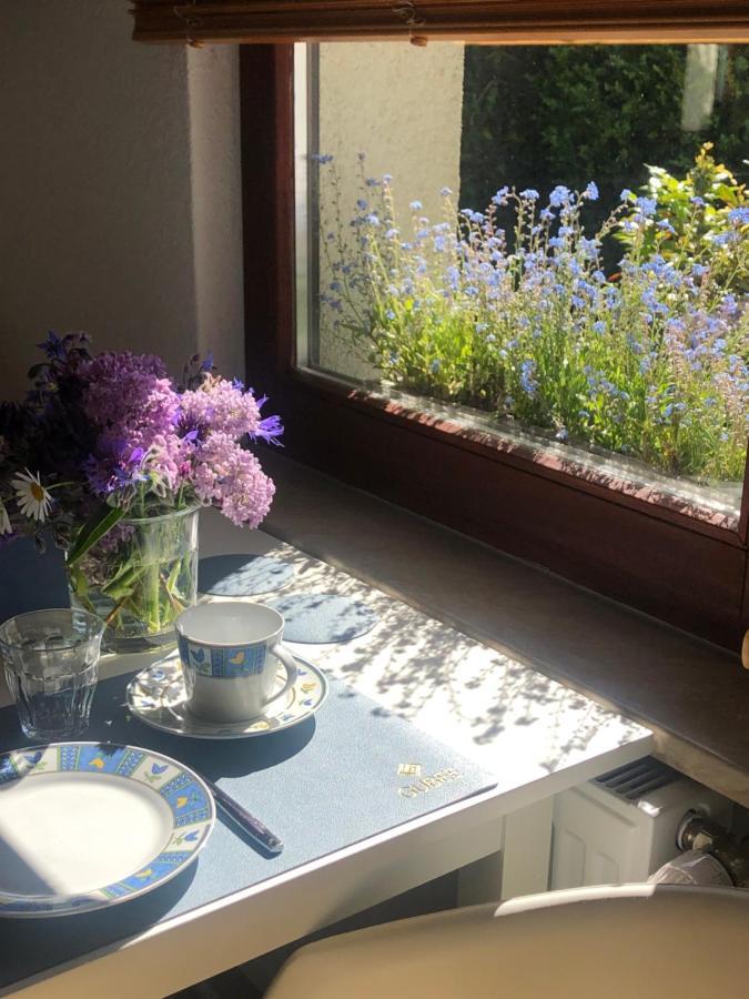 Appartement 1 Baltic Bergen Auf Rugen Buitenkant foto